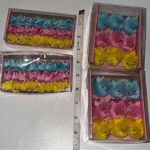 Adorable Easter Chicks!